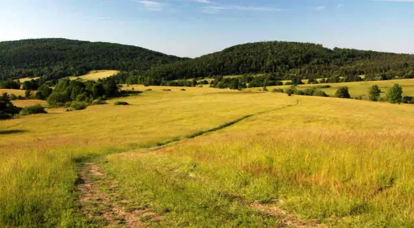 Beskid Niski - najpiękniejsze szlaki. Droga przez złote pola i lasy, zapraszająca do wędrówki.