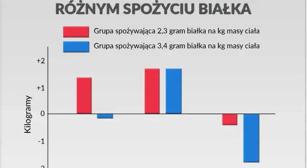 Wykres pokazuje, ile białka dziennie wpływa na masę ciała, suchą masę i tkankę tłuszczową. Grupa z wyższym spożyciem białka (3,4g/kg) zyskała więcej suchej masy.