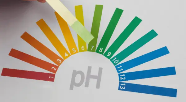 Test de pH : une bandelette réagit avec l'eau adoucie, montrant un résultat entre 6 et 7.