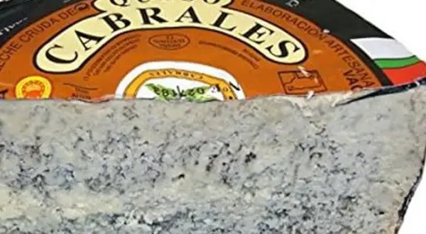 Queso Cabrales con su característico veteado azul, listo para la subasta.