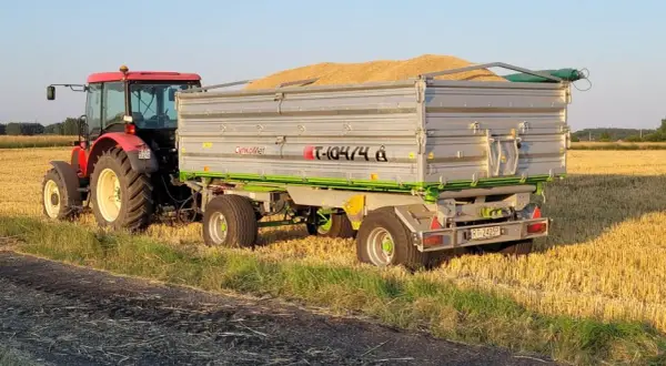 Ile waży metr sześcienny zboża? Kluczowe informacje dla rolników