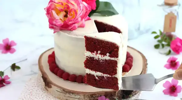 En vacker red velvet cake med fluffig frosting, dekorerad med hallon och rosa blommor. En bit skärs upp.