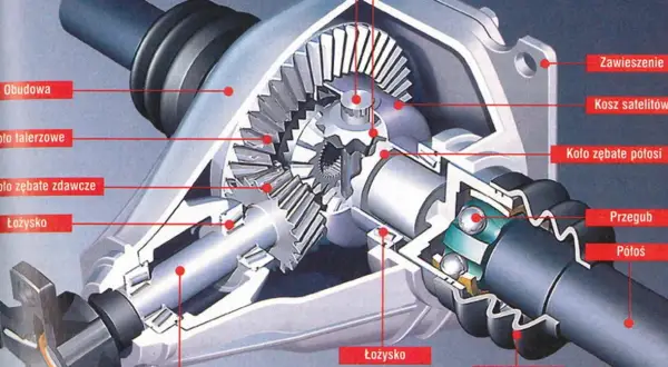 Przekrój mechanizmu różnicowego: koło talerzowe, zębate, satelity i półosie. Kluczowy element napędu.