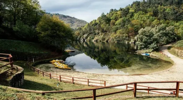 Un área de berres con botes amarillos esperando en la orilla arenosa, rodeada de exuberante vegetación y un lago tranquilo.