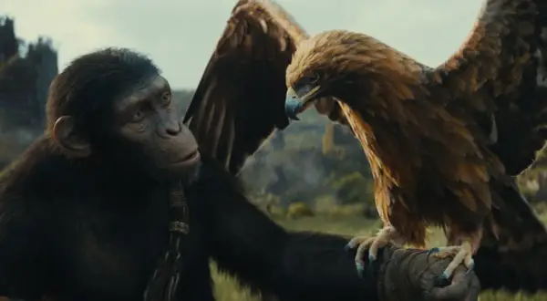 Ein Schimpanse aus "Planet der Affen: New Kingdom" blickt zu einem majestätischen Adler, der auf seinem Arm sitzt.