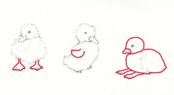 Tres tiernos dibujos de patos, uno de pie, otro sentado y uno más recostado, con contornos rojos resaltando sus formas.