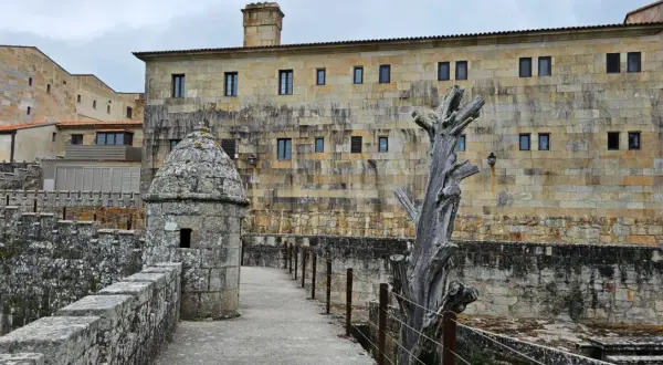 Camino de piedra hacia la fortaleza de Baiona, con una garita y un árbol seco.