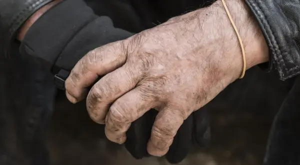 Manos secas y curtidas, con una goma elástica en la muñeca, sujetan un guante negro.
