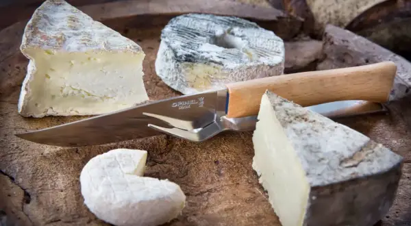 Varietà di formaggi a pasta molle, tra cui un caprino e un formaggio a crosta fiorita, pronti per essere gustati con un coltello Opinel.