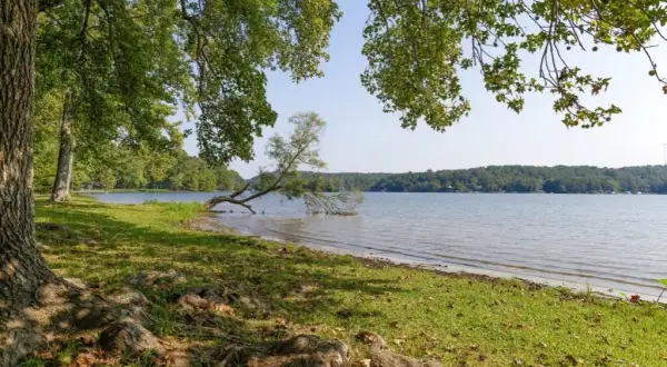 Działka nad jeziorem w Podlaskiem – jak wybrać idealną i uniknąć błędów?