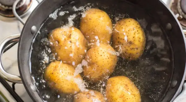 Mehrere Kartoffeln kochen in einem Topf mit sprudelndem Wasser. Sie sind fast gar, wenn sie leicht nachgeben.
