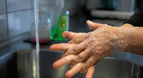 Hands being washed with soap and water in a sink.