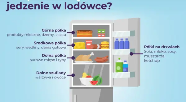 Ilustracja pokazuje wnętrze lodówki z podziałem na półki i szuflady, wyjaśniając zasady przechowywania żywności.