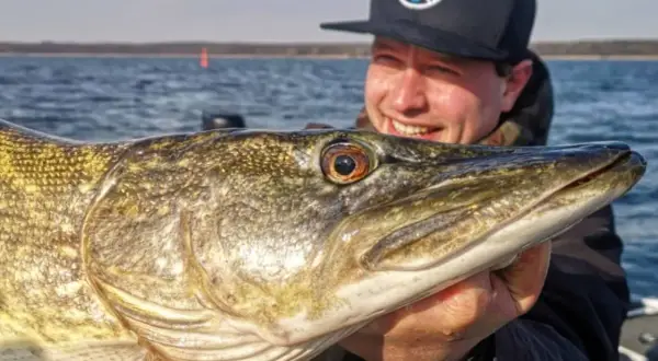 Glücklicher Angler hält stolz einen großen Hecht, gefangen nach einem Gewitter. Das Wasser ist ruhig, die Sonne scheint.
