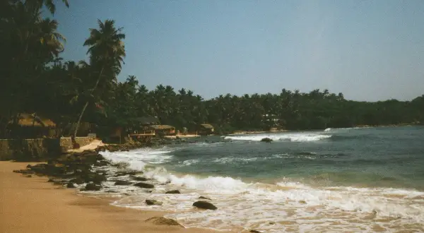 Piękne zdjęcia z analoga: piaszczysta plaża, palmy, kamienie i fale oceanu. Tropikalny raj.