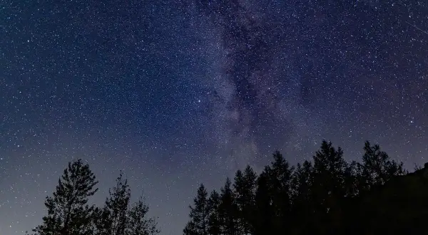 Nocne niebo pełne gwiazd i Drogi Mlecznej nad ciemnym lasem. Idealne do oglądania gwiazd.