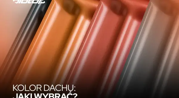 Sześć dachówek w różnych kolorach: ciemnozielony, pomarańczowy, ceglasty, rudy i grafitowy. Wybierz idealne kolory dachów dla swojego domu.