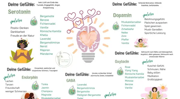 Fichtennadeln wirken auf die Seele, fördern Serotonin für Freude und Dankbarkeit. Ein Duft für Glücksgefühle.