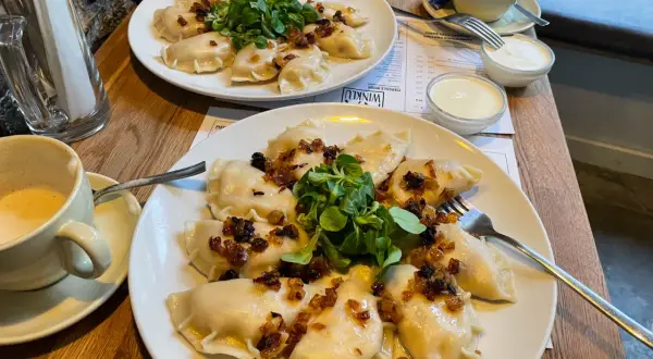 Pyszne pierogi z cebulką i zielenią – idealne pytanie: co zjeść w Poznaniu? Do tego kawa i śmietana.