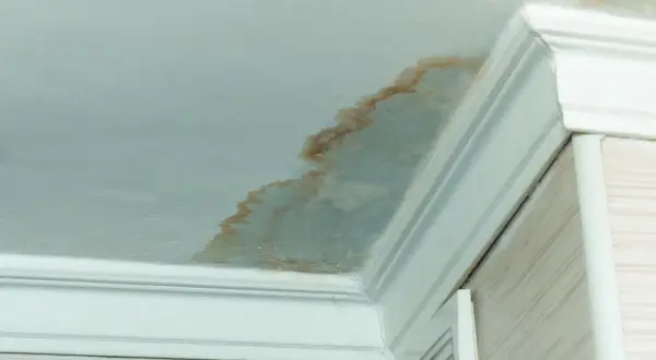 Taches brunes sur le plafond de la salle de bain, signe de moisissure malgré la VMC. Problème d'humidité persistant.