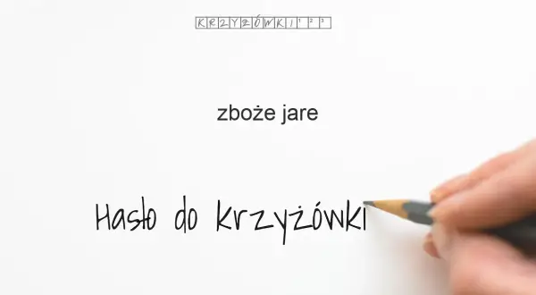 Zboże jare krzyżówka - najważniejsze hasła i odpowiedzi do zagadek