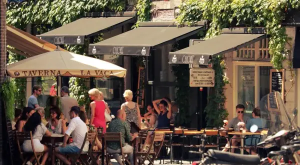 Ile można zarobić na kwiaciarni? Poznaj prawdę o dochodach