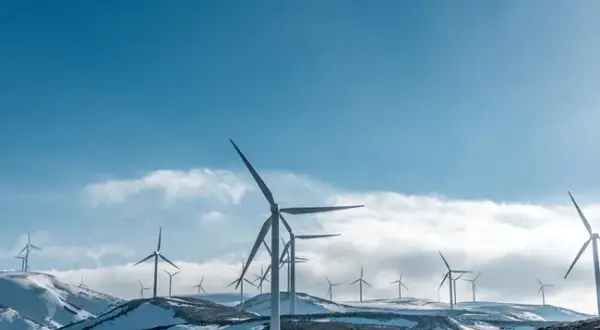Jak działa elektrownia wiatrowa i jak możesz zyskać na energii wiatrowej
