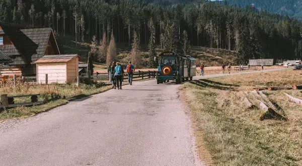 Busy do Doliny Chochołowskiej: Rozkład, Ceny i Informacje
