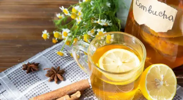 Kombucha co to? Odkryj skład, korzyści i ryzyko picia tego napoju