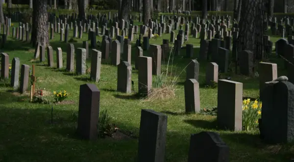 Ile kosztuje miejsce na cmentarzu na Wólce Węglowej? Sprawdź ceny i opcje