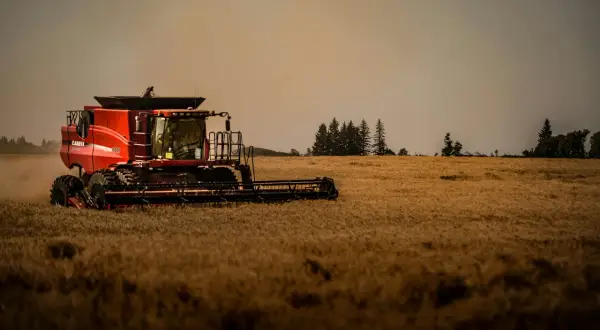 Sklepy rolnicze – dlaczego dziś to coś więcej niż tylko sprzedaż części rolniczych?
