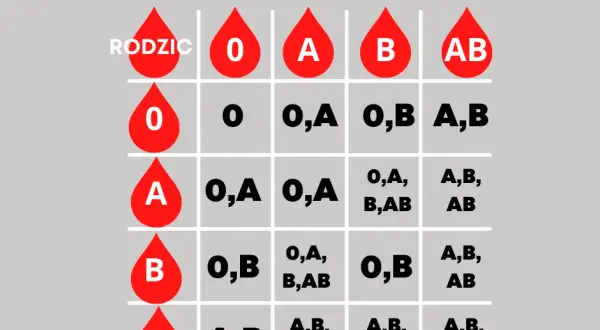 Jaką grupę krwi ma dziecko po rodzicach? zaskakujące zasady dziedziczenia