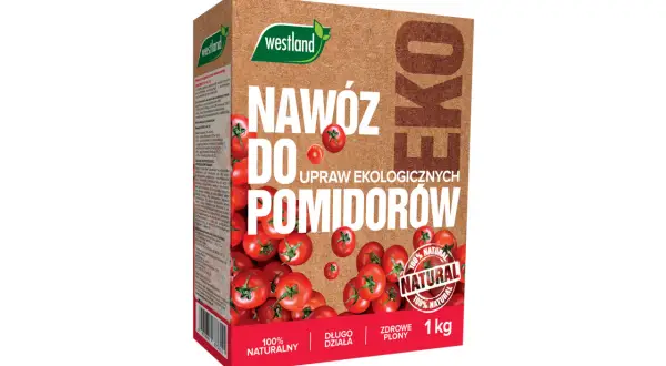 Jaki naturalny nawóz do pomidorów zapewni zdrowe plony i ekologiczną uprawę?