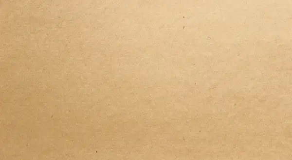 Co to jest biała karta wędkarska i dlaczego jest tak ważna?