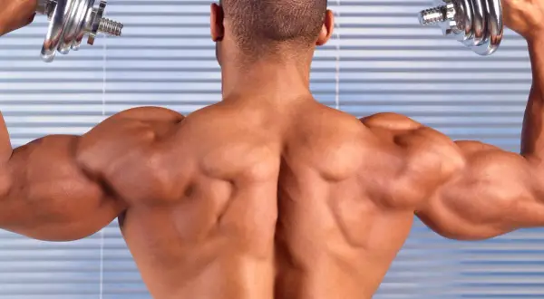 Todo sobre el músculo trapecio: funciones, ejercicios y salud