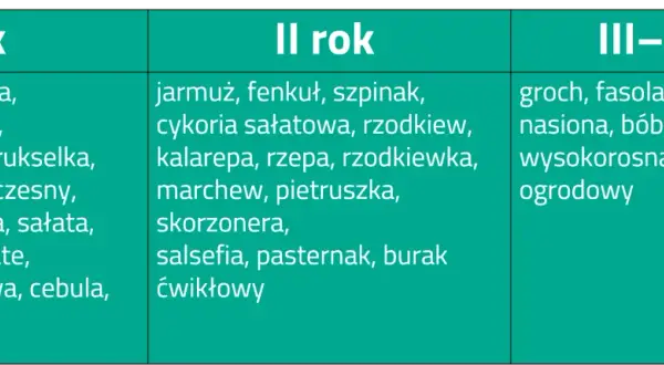 Kiedy kompost pod warzywa? Kluczowe terminy i skuteczne metody zastosowania