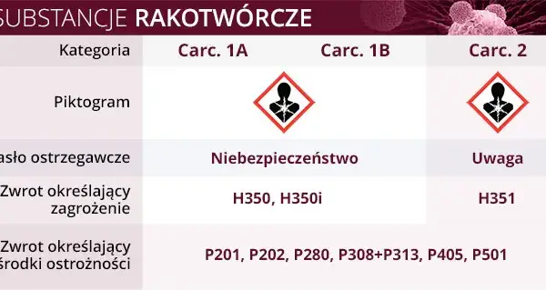 Czy hybrydy są rakotwórcze? Fakty i mity o bezpieczeństwie aut