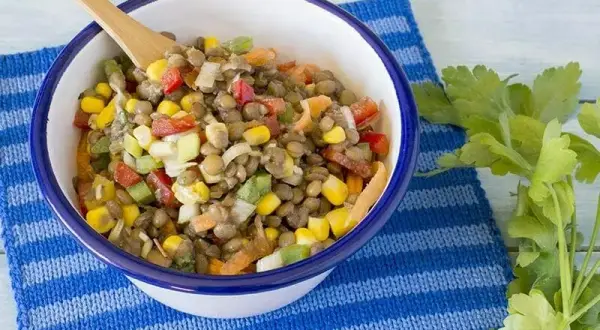 Recettes salade de lentilles : des options saines et délicieuses pour l'été