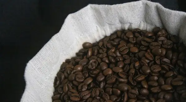 Kawa ziarnista Arabica - jak rozpoznać dobrą jakość?