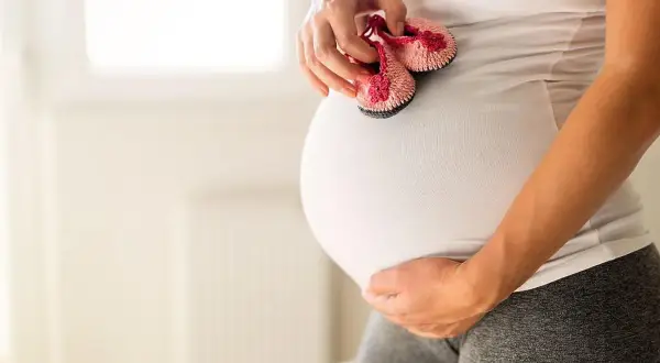 Czy bostonka jest groźna dla kobiet w ciąży? Ryzyko i zalecenia dla ciężarnych