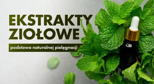 Jak zrobić ekstrakt roślinny - proste metody na naturalne lekarstwa
