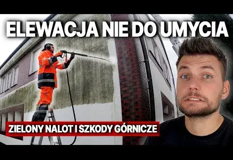 Jak skutecznie usunąć zielony nalot z elewacji – sprawdzone metody i porady