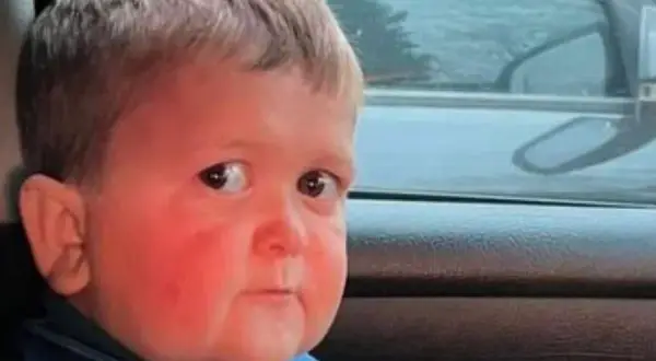Ile lat ma Hasbulla? Zaskakujące fakty o jego życiu i popularności