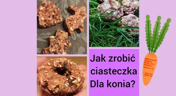 Jak zrobić ciastka dla koni, które zachwycą twojego pupila