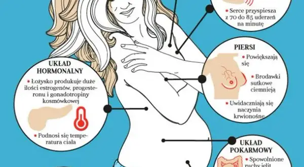 Jak zmieniają się piersi w ciąży? Wygląd, ból i pielęgnacja w tym wyjątkowym czasie