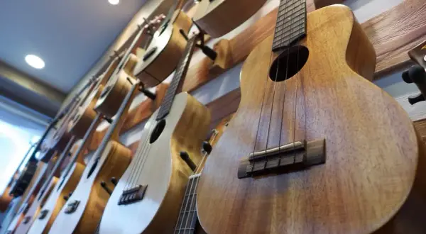 Ukulele jakie drewno wybrać, aby uzyskać najlepsze brzmienie?
