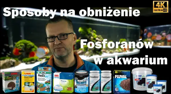 Jak obniżyć fosforany w akwarium i poprawić zdrowie ryb