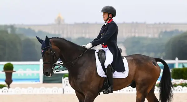 Grand Prix jeździectwo - nadchodzące zawody i transmisje w Polsce