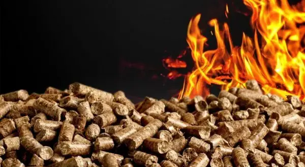 Z czego zrobić pellet? Najlepsze surowce i ich zastosowanie w produkcji