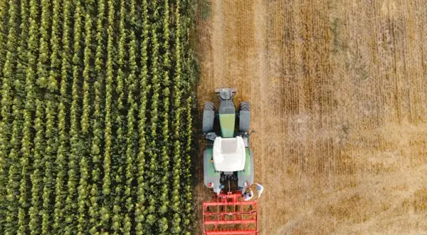 dealer fendt